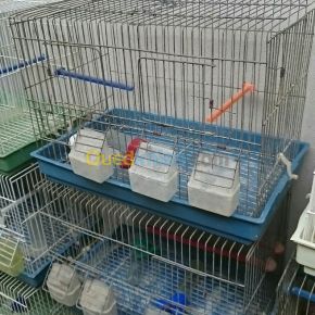 Cages - Alger | jazyer.com